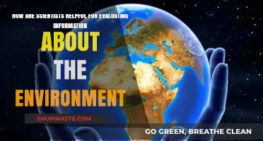 Scientists: Key Guardians in Assessing Environmental Data and Insights