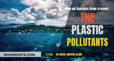 Scientists' Efforts to Reduce Plastic Pollution: Innovative Solutions