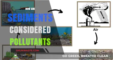 Sediment Pollution: When Particles Become Pollutants