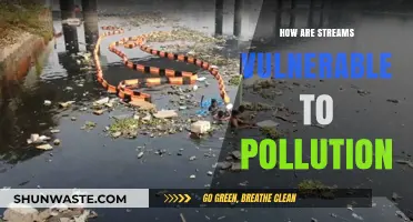 Stream Pollution: Understanding the Sources and Impacts