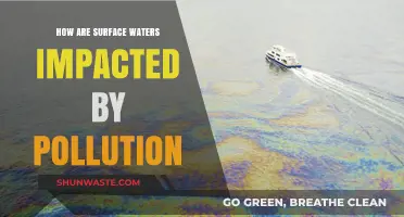 Surface Waters: Pollution's Impact and Devastating Effects