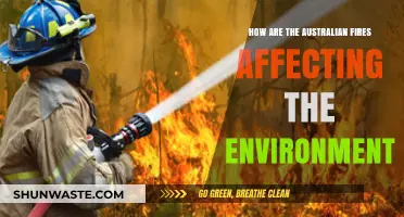 Australian Bushfires: Devastating Impacts on Wildlife, Ecosystems, and Climate