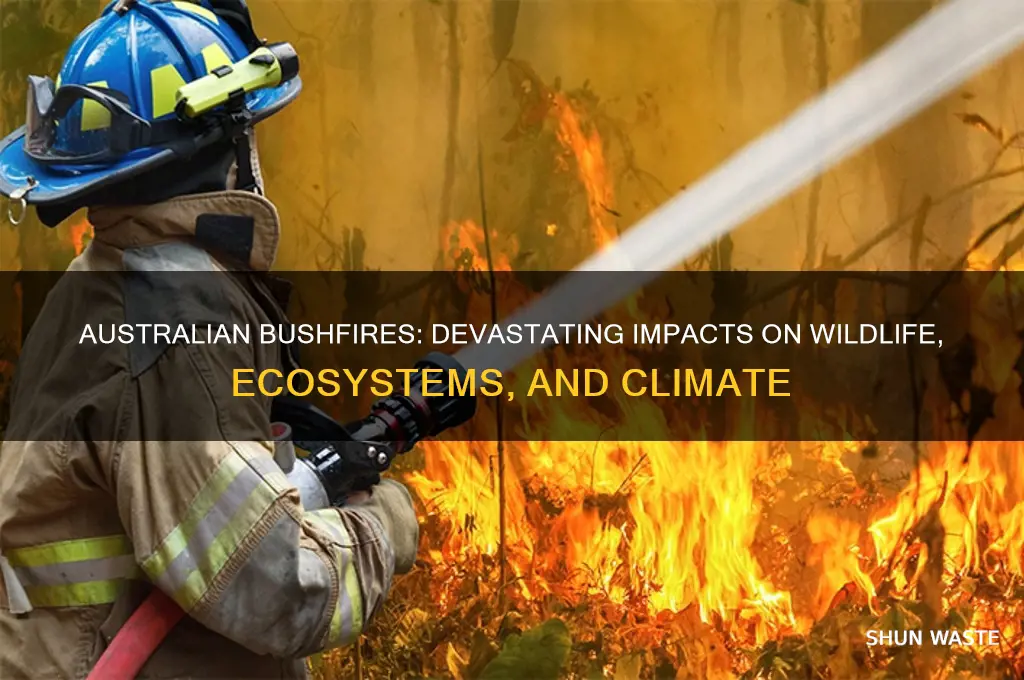 how are the australian fires affecting the environment