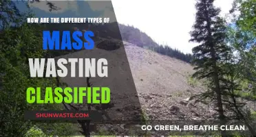 Classifying Mass Wasting: Understanding the Diverse Types and Processes