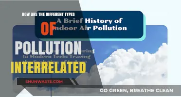 Pollution's Interconnected Web: Understanding the Complex Links