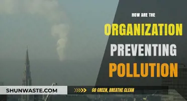Green Initiatives: Preventing Pollution with Innovative Strategies