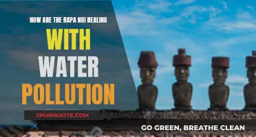 Rapa Nui's Water Crisis: A Battle Against Pollution