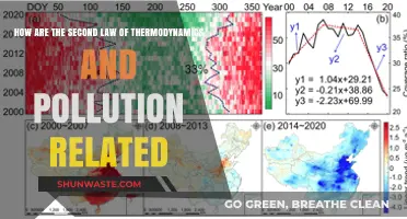 Thermodynamics and Pollution: Entropy's Dark Side