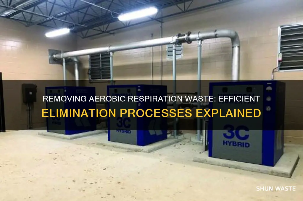 how are the waste products of aerobic respiration removed