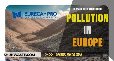 Europe's Pollution Battle: Strategies and Innovations
