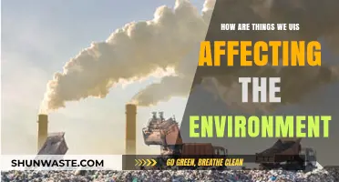 How Our Daily Use of Things Impacts the Environment