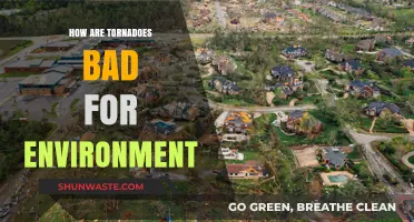 Tornadoes' Destructive Impact: Environmental Consequences and Ecosystem Disruption