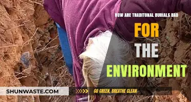 Traditional Burials' Environmental Impact: Uncovering the Hidden Ecological Costs