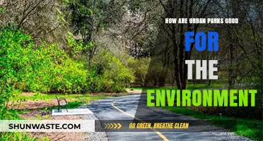 Urban Parks: Environmental Benefits and Sustainable City Living Explained