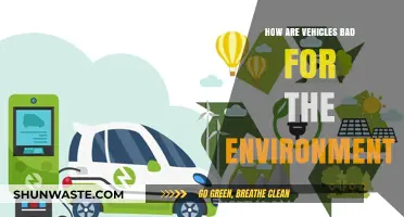 Vehicles' Environmental Impact: Pollution, Climate Change, and Ecosystem Destruction Explained