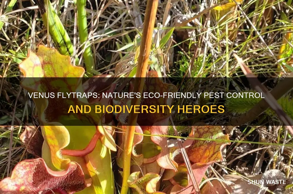 how are venus flytraps good for the environment