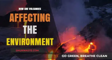 Volcanic Eruptions: Environmental Impacts and Long-Term Ecological Consequences