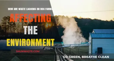 Hog Farm Waste Lagoons: Environmental Impacts and Concerns Explored
