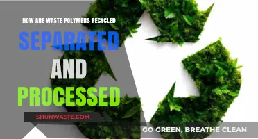 Recycling Waste Polymers: Separation, Processing, and Sustainable Solutions Explained