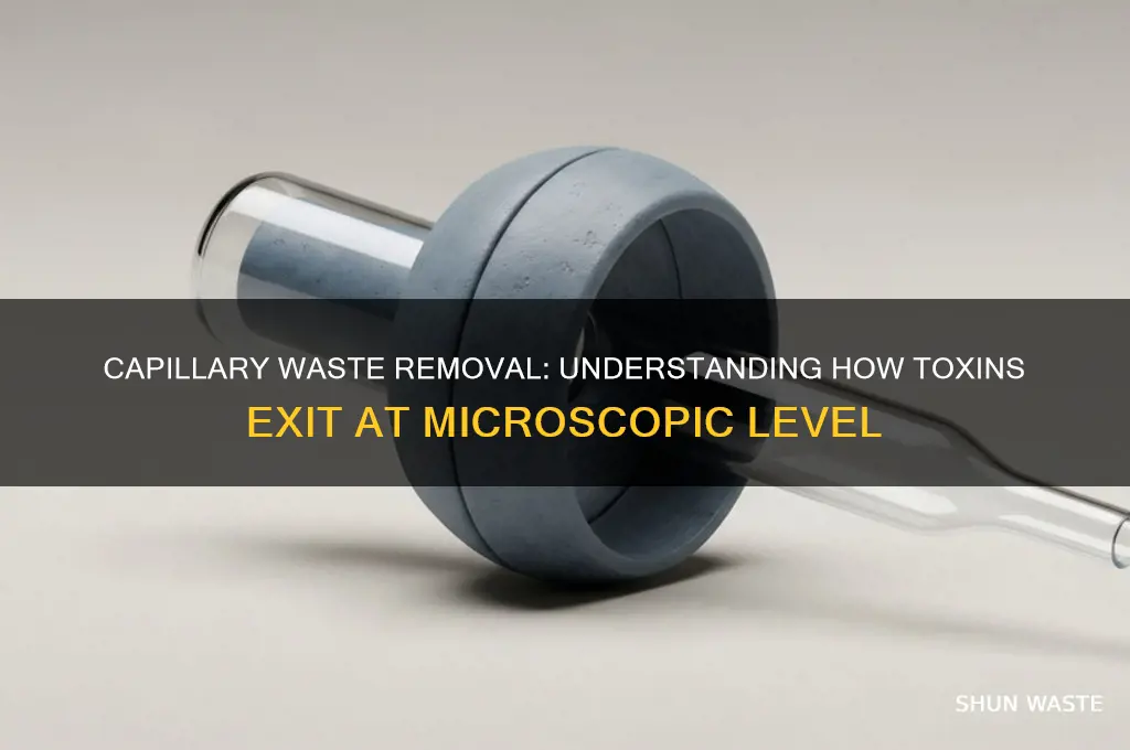 how are waste products removed at the capillary level