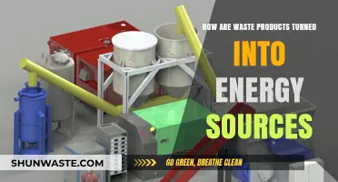 Transforming Trash to Power: The Science of Waste-to-Energy Innovation