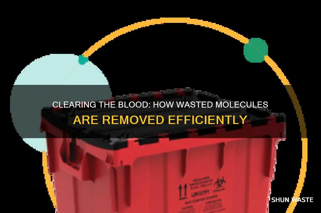 how are wasted molecules removed from the blood