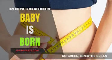 Postpartum Waste Removal: Understanding How Your Body Cleanses After Birth