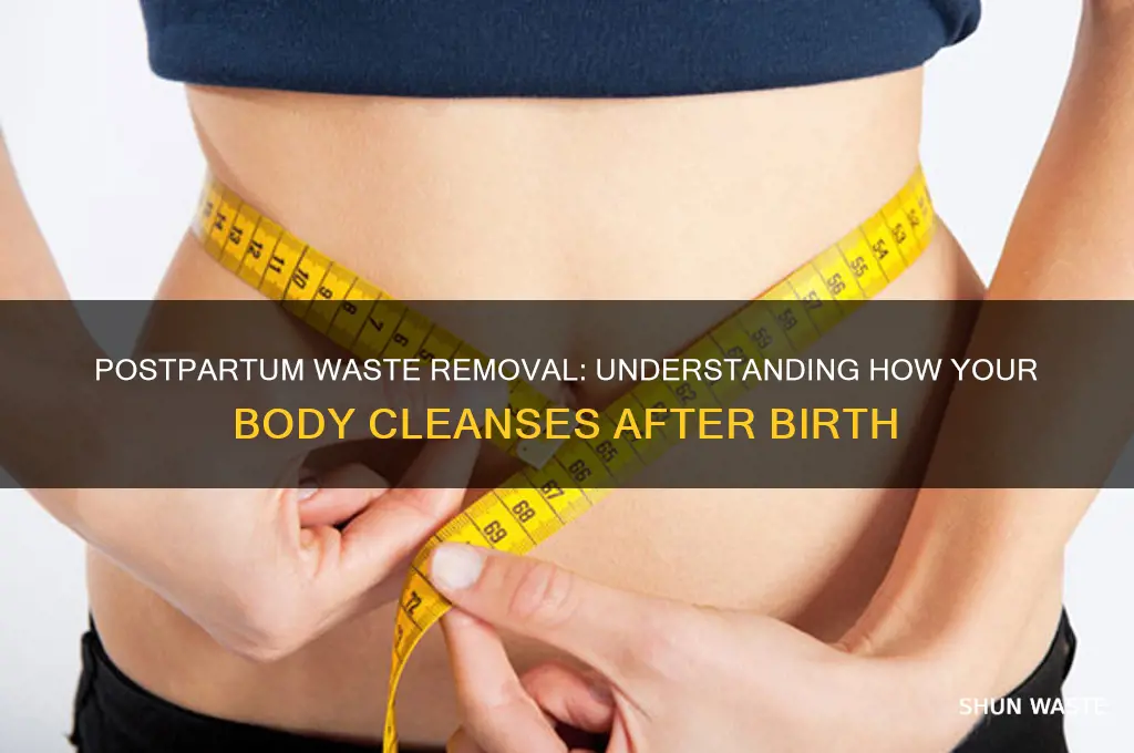how are wastes removed after the baby is born