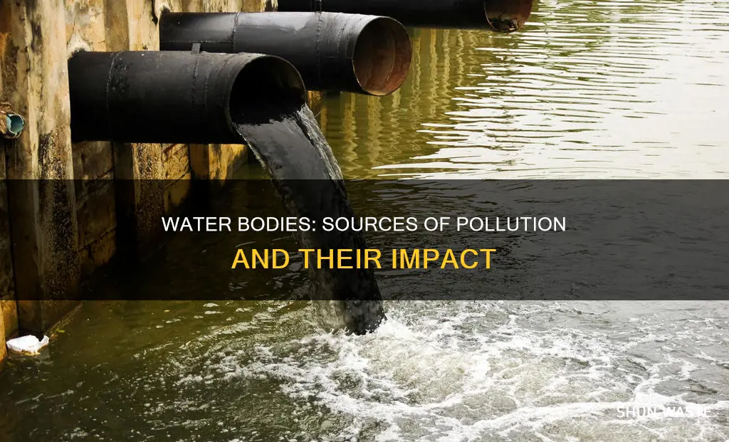 how are water bodies polluted