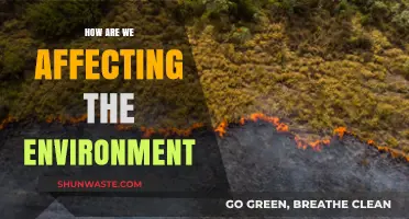 Human Impact on Nature: Unveiling Our Environmental Footprint and Consequences
