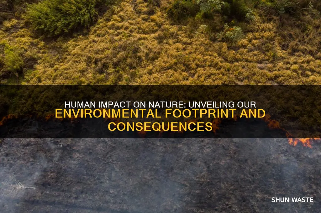 how are we affecting the environment