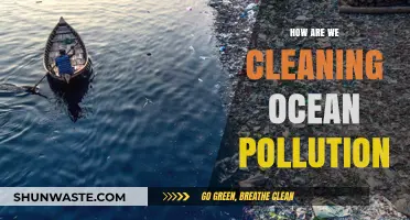 Ocean Cleanup: Innovative Solutions to Pollution Problems