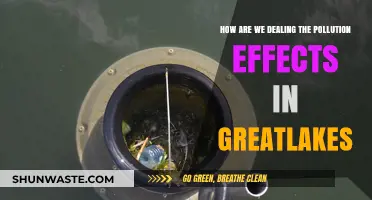 Great Lakes Pollution: Strategies for a Sustainable Future
