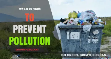 Humanity's Failure to Prevent Pollution