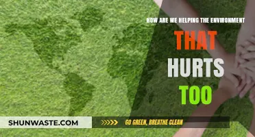 Balancing Environmental Aid: Addressing Harmful Impacts in Our Green Efforts
