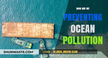 Protecting Our Oceans: Preventing Pollution's Impact