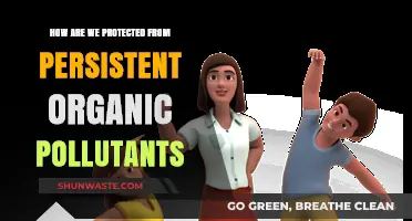 Protecting Ourselves: Persistent Organic Pollutants and Our Health