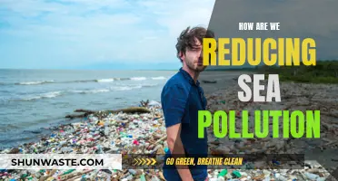 Combating Sea Pollution: Our Strategies and Initiatives