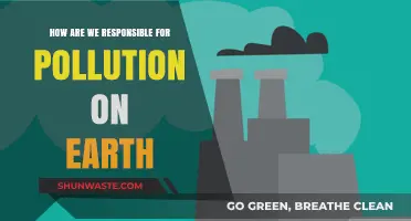 Human Impact: Earth's Pollution Crisis