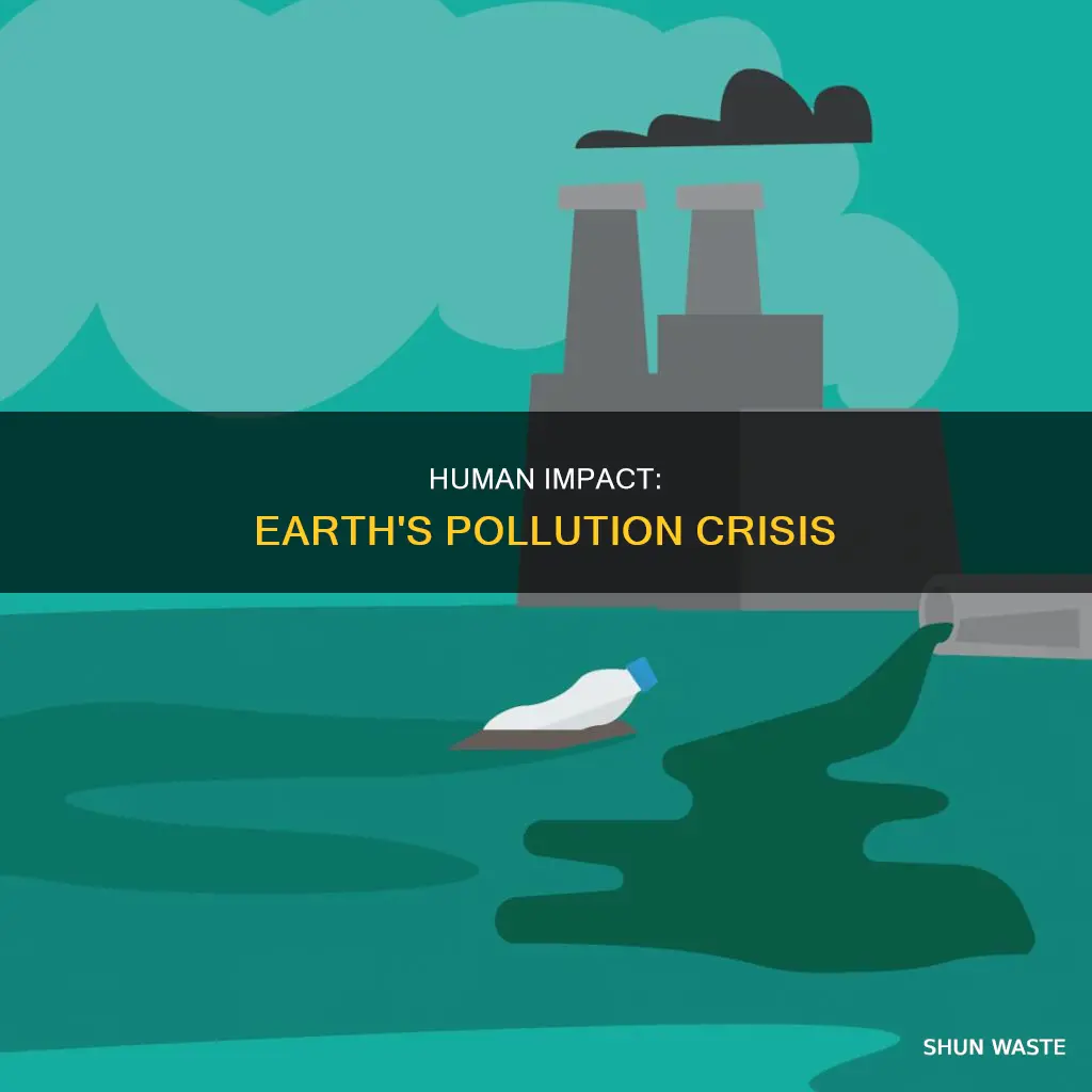 how are we responsible for pollution on earth
