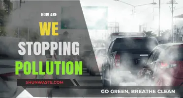 Strategies to Combat Pollution and Protect Our Planet