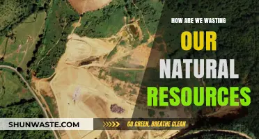 Wasting Our Planet: How We're Squandering Natural Resources Daily