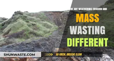 Weathering, Erosion, and Mass Wasting: Understanding Their Unique Processes