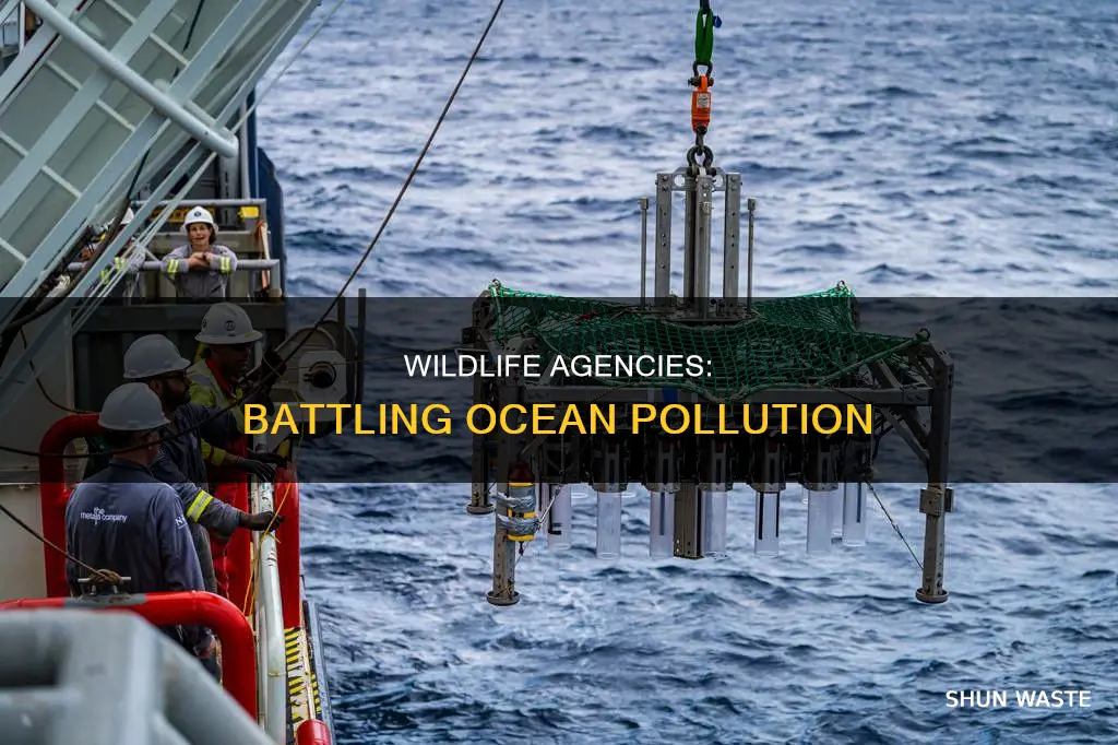 how are wildlife protection agencies fighting ocean pollution