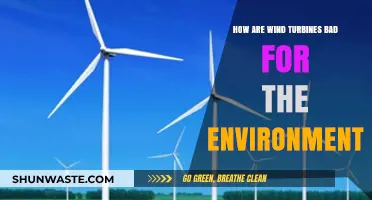 Wind Turbines' Environmental Impact: Uncovering Hidden Ecological Consequences