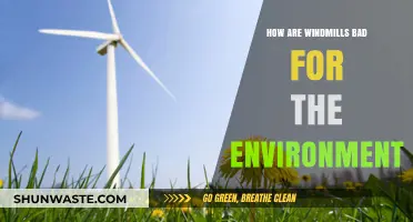 Windmills' Environmental Impact: Uncovering Hidden Ecological Costs and Concerns