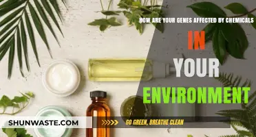 Environmental Chemicals: Unraveling Their Impact on Your Genetic Blueprint