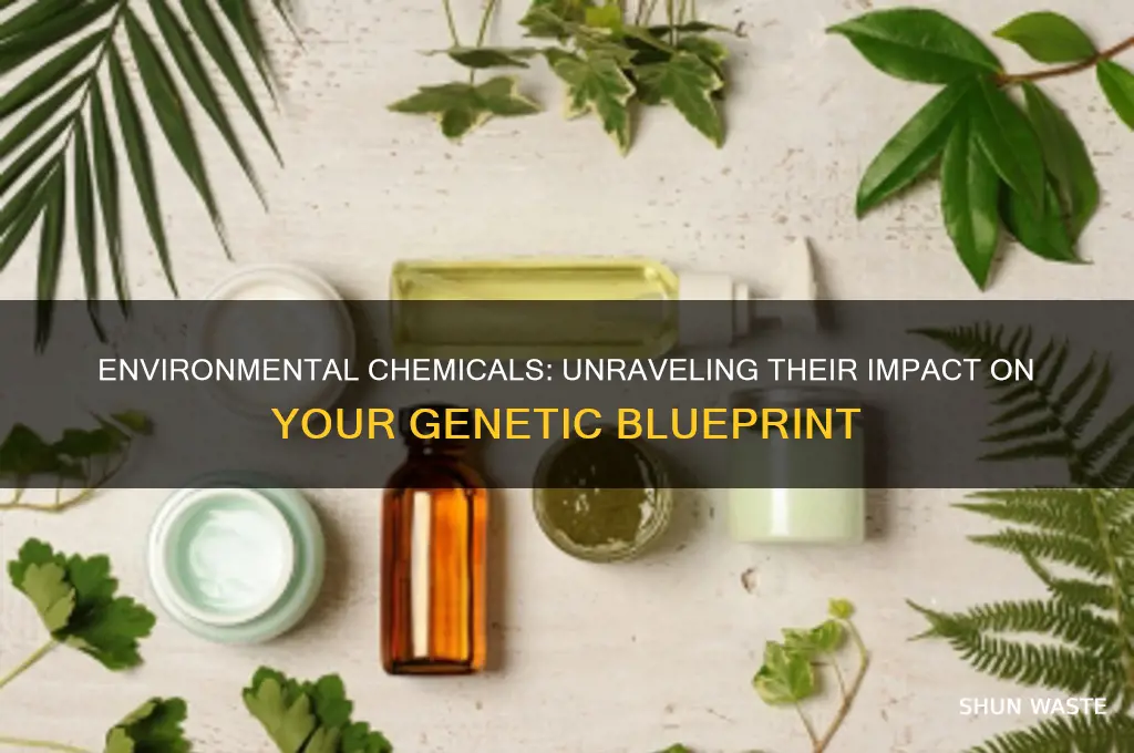 how are your genes affected by chemicals in your environment
