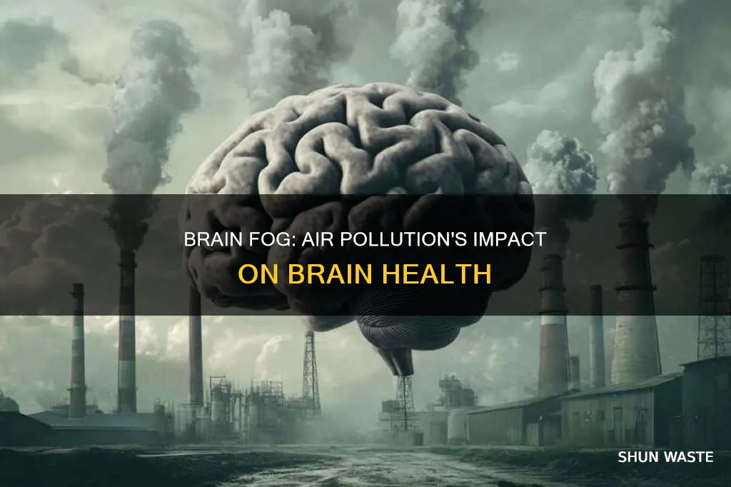 how ari pollution affects the brain