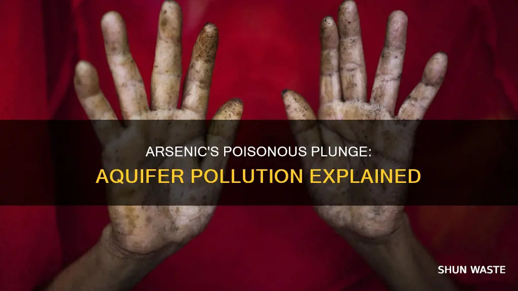 how arsenic pollutes aquifers